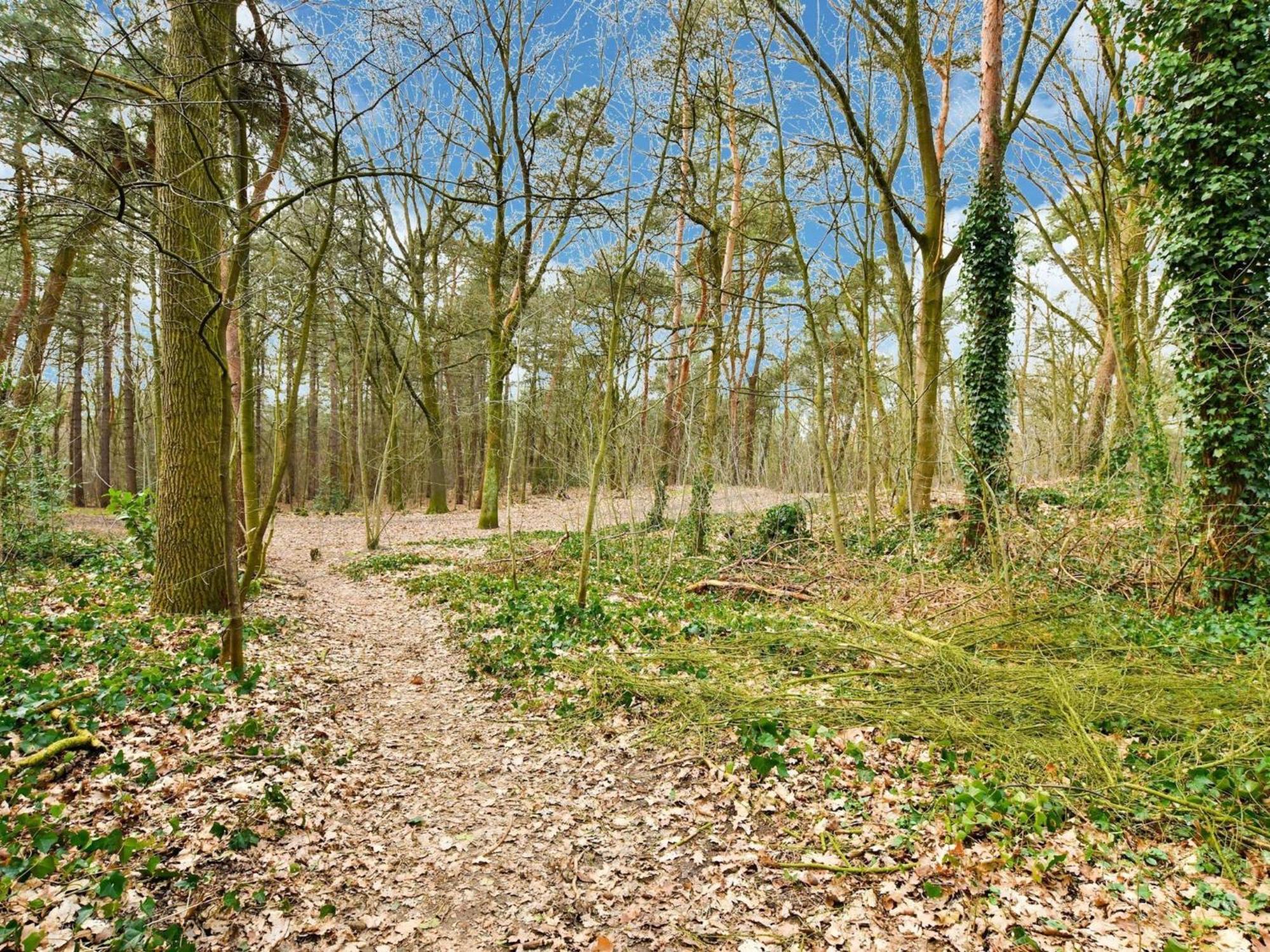 Stille Wille B13 Meijel Buitenkant foto